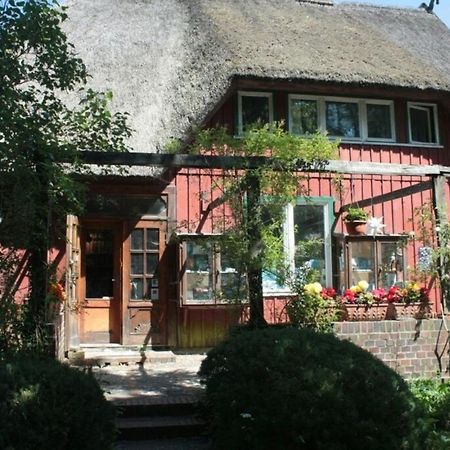 Ferienwohnung "Nordstrand" Prerow Exterior foto